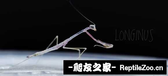 225020pjobpixjxy2xuuou.jpg