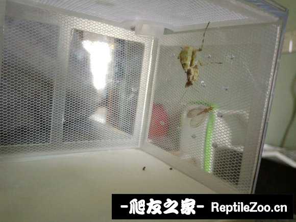 225620pncwvpc5epsv3x3u.jpg