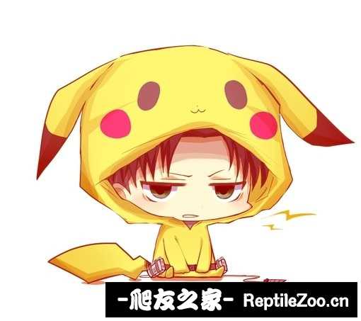 230333nheozzmqowyqyokq.jpg