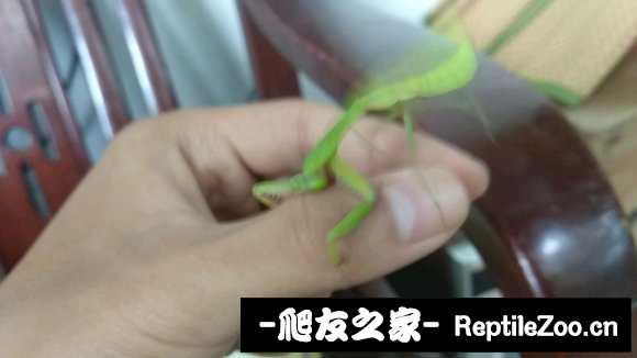230822kin99z57qxiwz15w.jpg