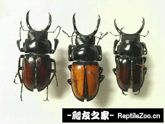 232348rqjzu0uzmq7qopq4.jpg