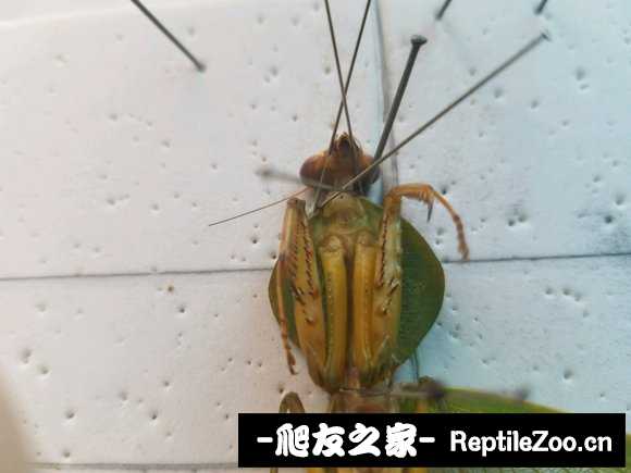 232842rxjbhb94bxxjgzjw.jpg