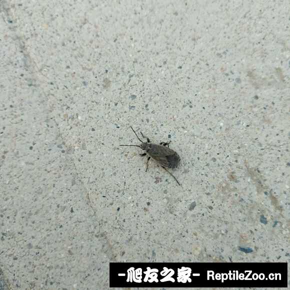 234048jrt1s7satkazu3ac.jpg