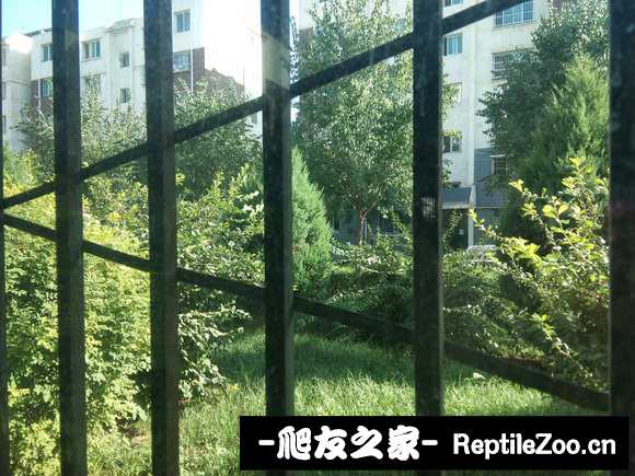 234202ngszwagx0zb7nj99.jpg