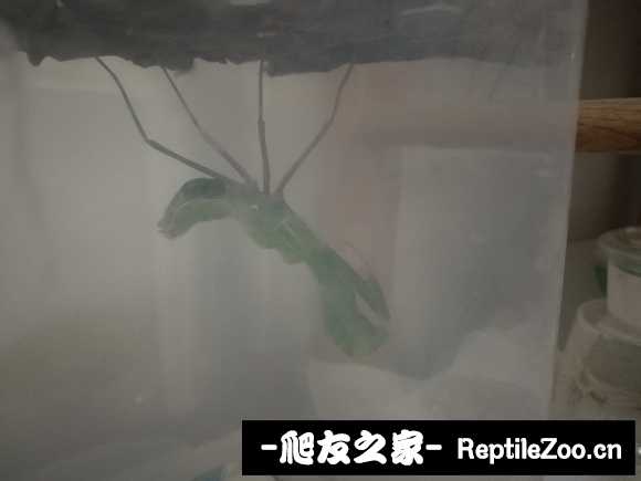235034gqwu4qmqaf86e414.jpg