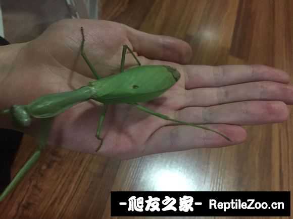 235144w6966lvdkvyffk4f.jpg