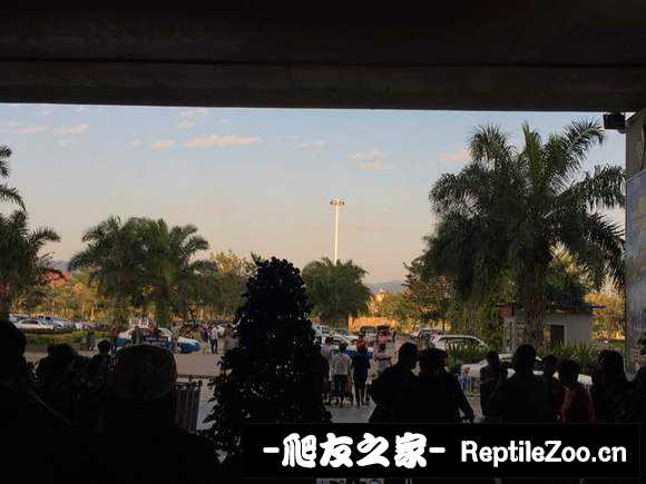 000505jlxtsxb3aida3u5a.jpg