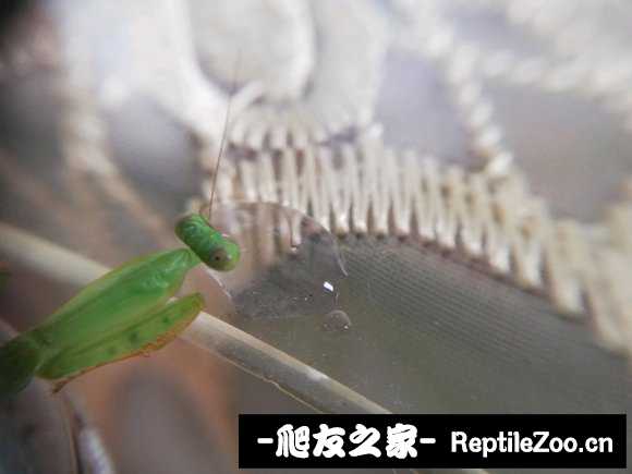 004555dh7vlto0dx0eor00.jpg