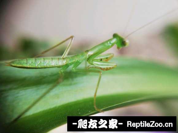 004556vbbwwzfgm12pmp1h.jpg