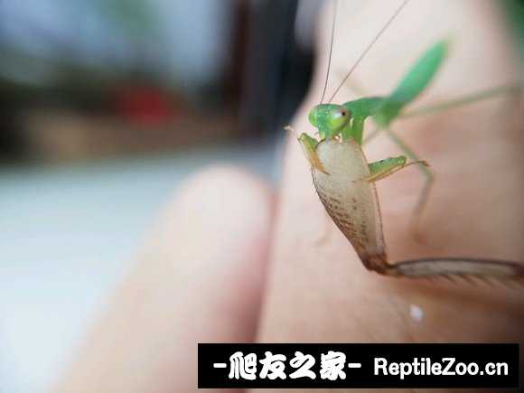 004557t9a8x995nhxax97s.jpg