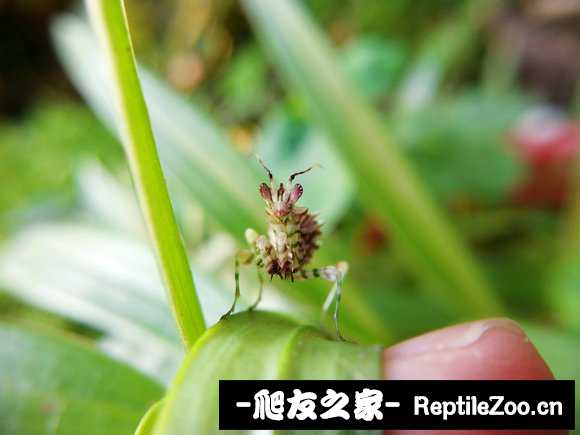 005137m0qnkiov0wqlljv9.jpg