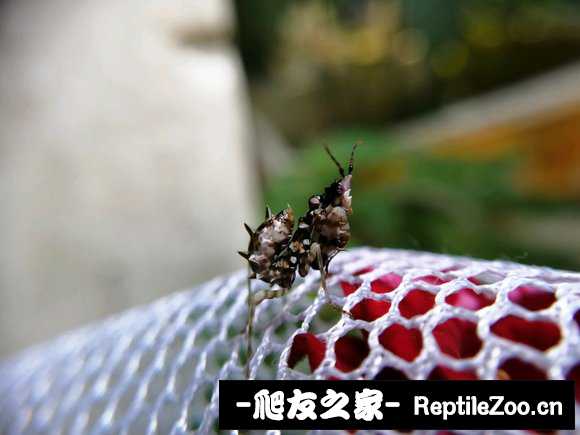 005216muct8u3t52bqjuzb.jpg