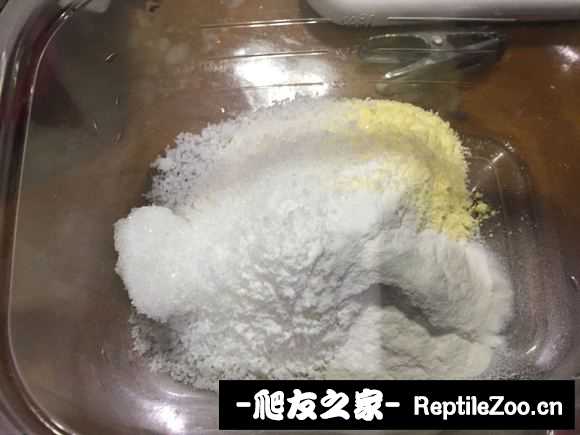 005256kd888d11tz71tmo9.jpg