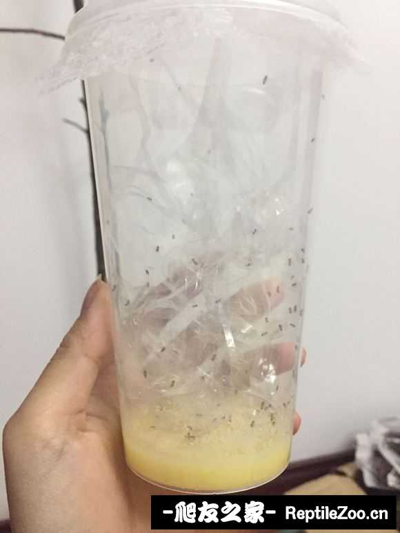005259nqaaa1psyd1lreqv.jpg