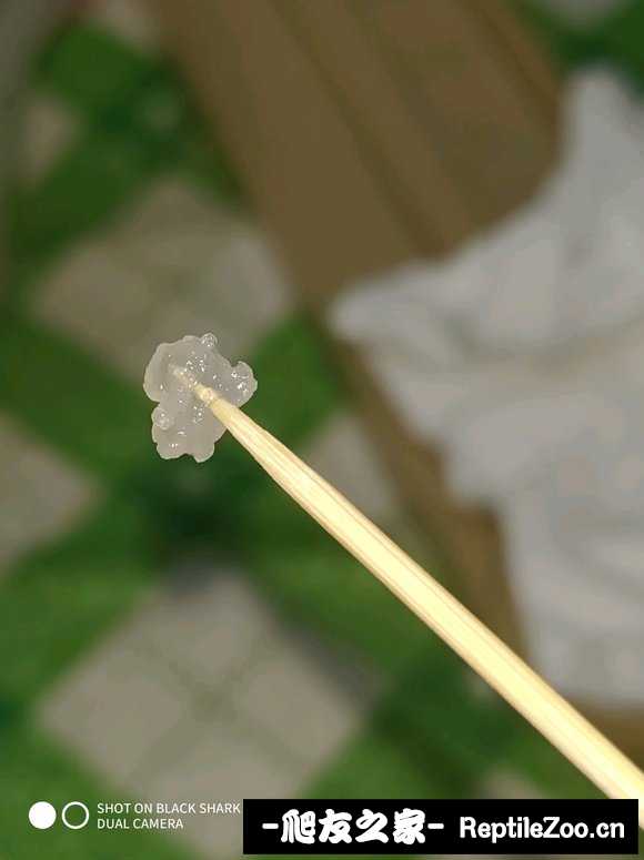 005330hb2f2x66mmwqumsb.jpg