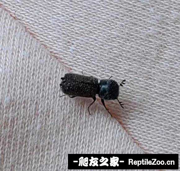 005949t6e7vjp6e33v4n92.jpg